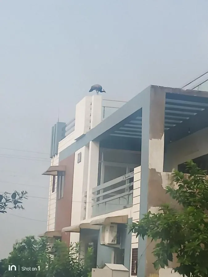 Homestay Boutique Indian Home Stay - Pandora Home Stay Agra